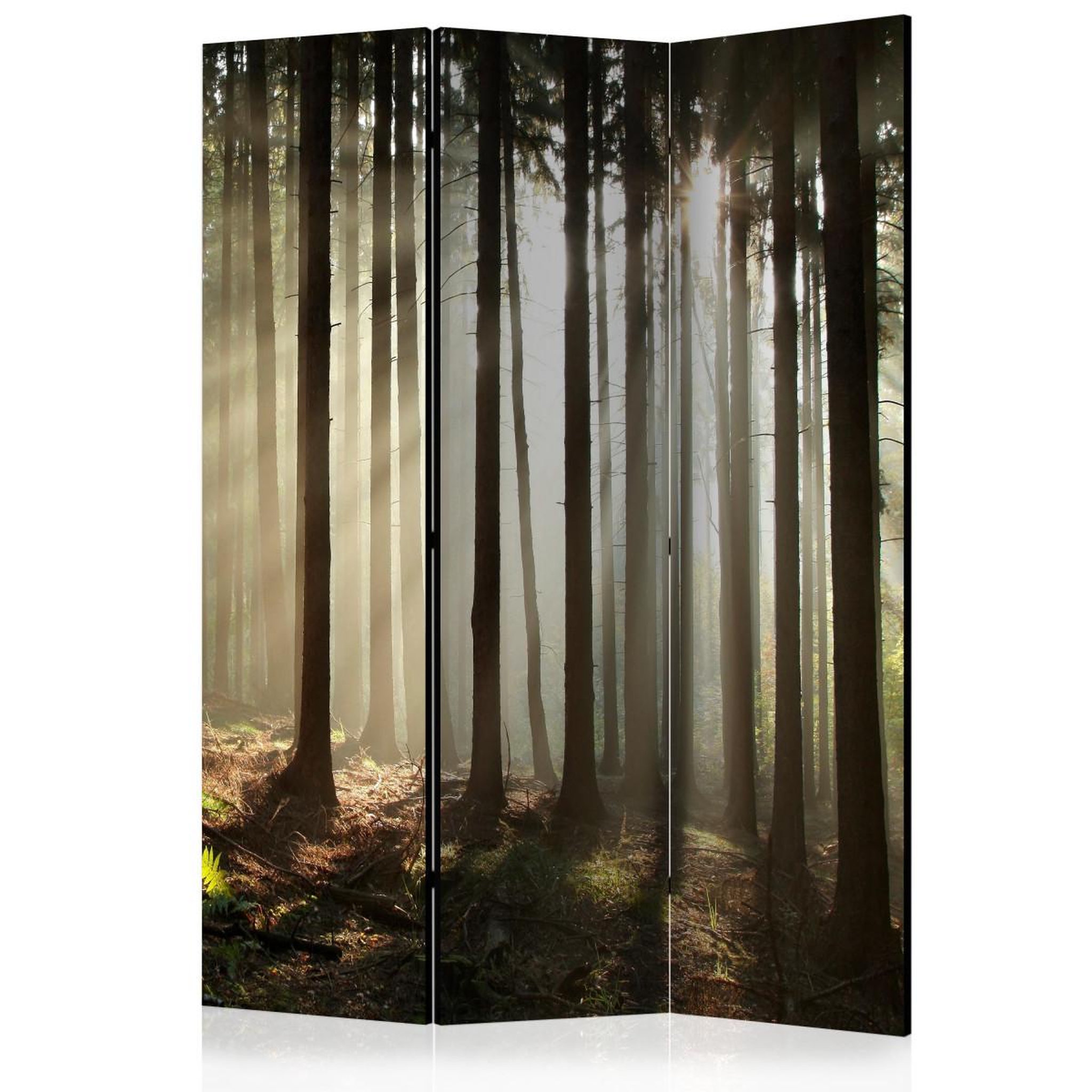 Paris Prix Paravent 3 volets  coniferous forest  135x172cm