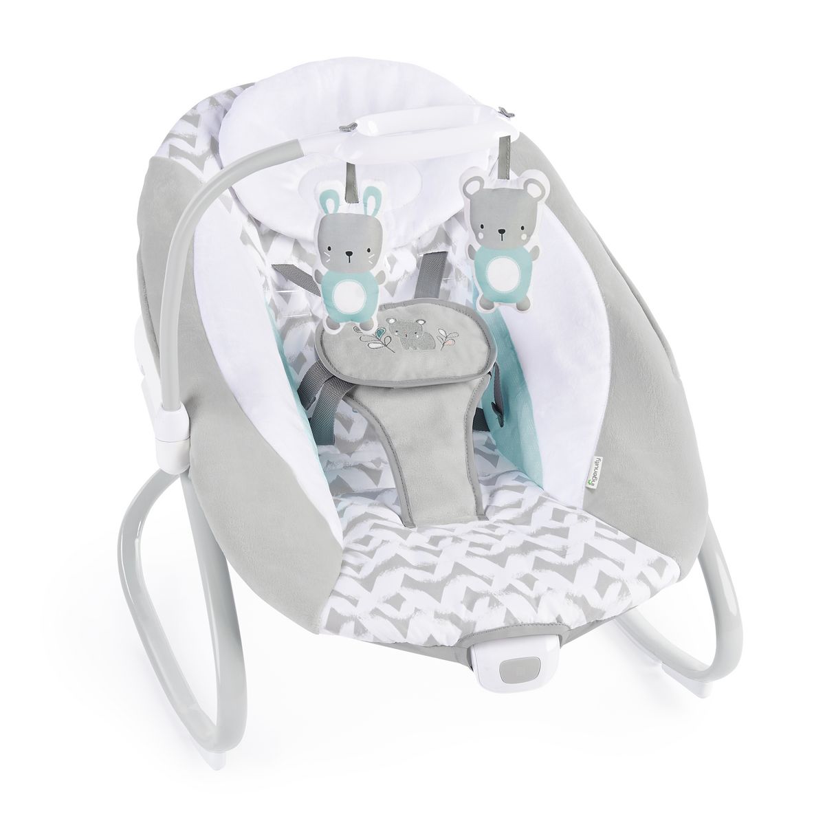 Ingenuity Balancelle tout confort 2 en 1 Raylan