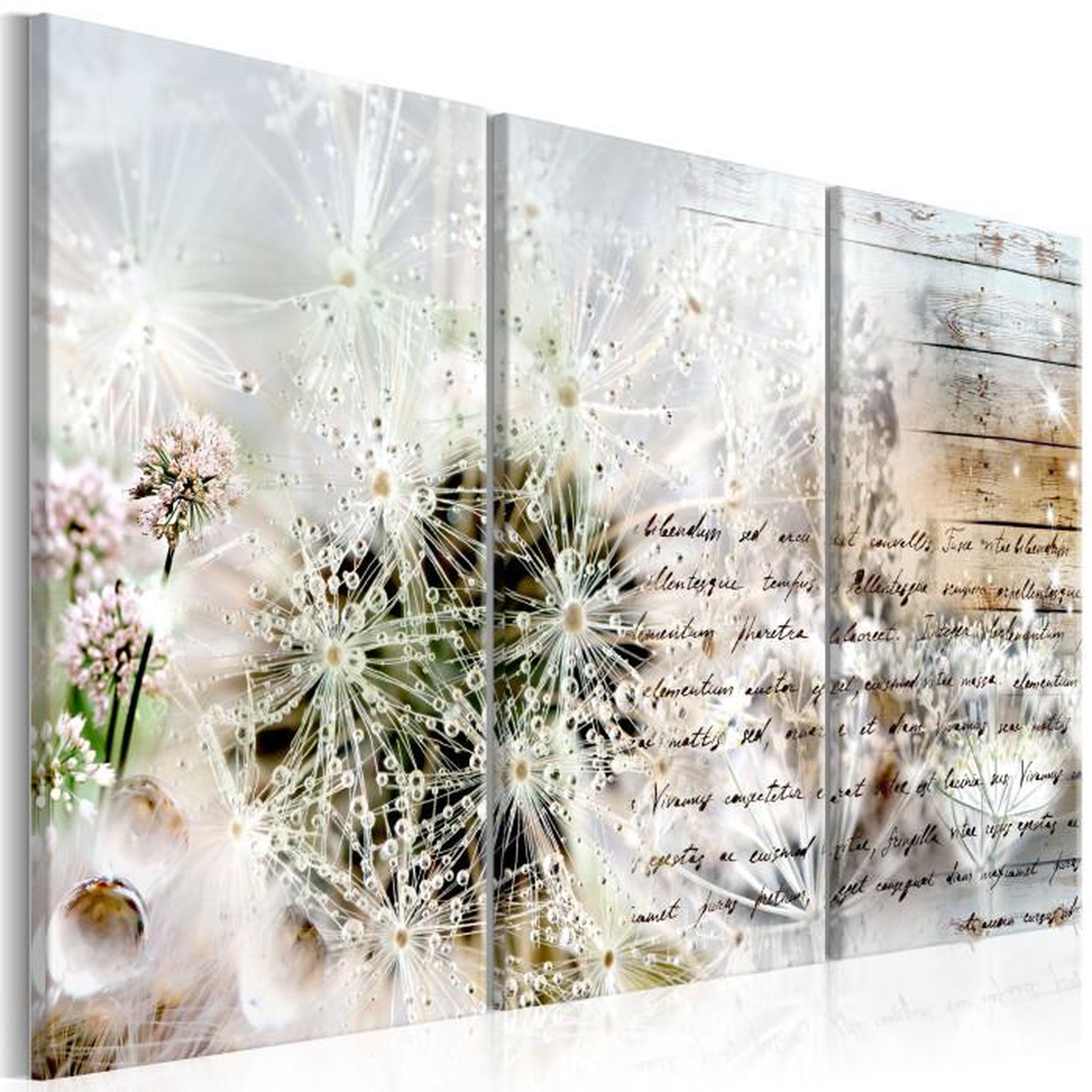 Paris Prix Tableau Imprimé  Starry Dandelions I. Coloris disponibles : Multicolore
