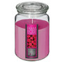 Voir la diapositive 1 : COMPTOIR DE LA BOUGIE Bougie Parfumée en Verre  Couvercle  510g Framboise