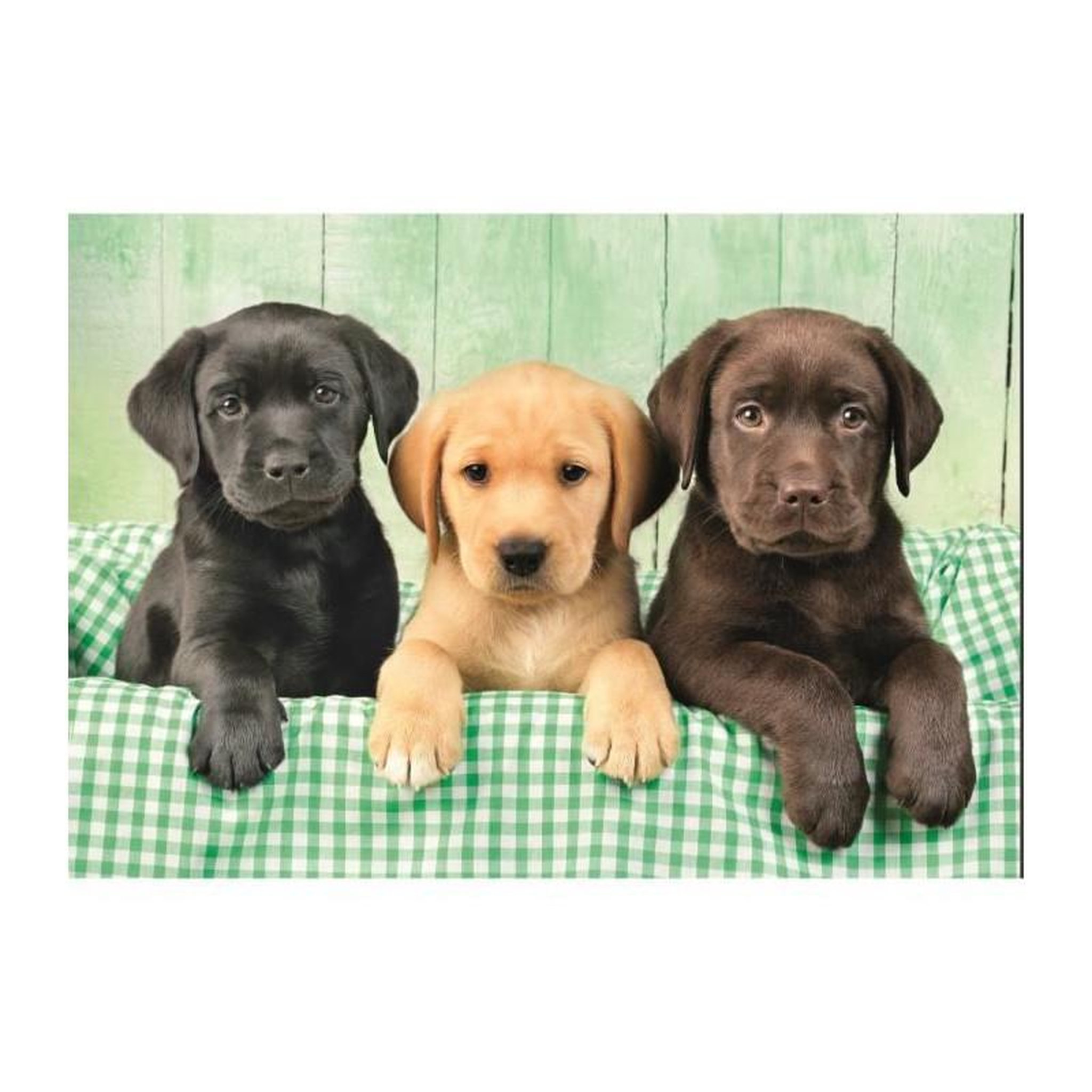 Voir la diapositive 2 : CLEMENTONI Puzzle 1000 pièces Compact – Three Labs – Clementoni – Adulte 14+ ans