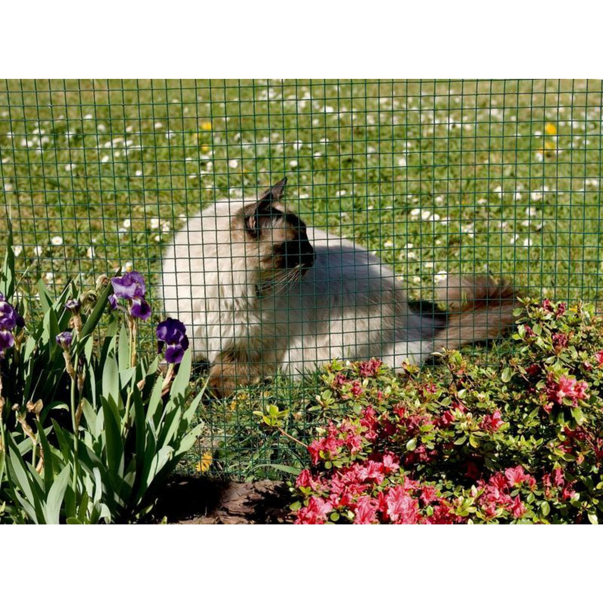 Nortene Grillage en fil de fer vert - 0,50 x 10 m