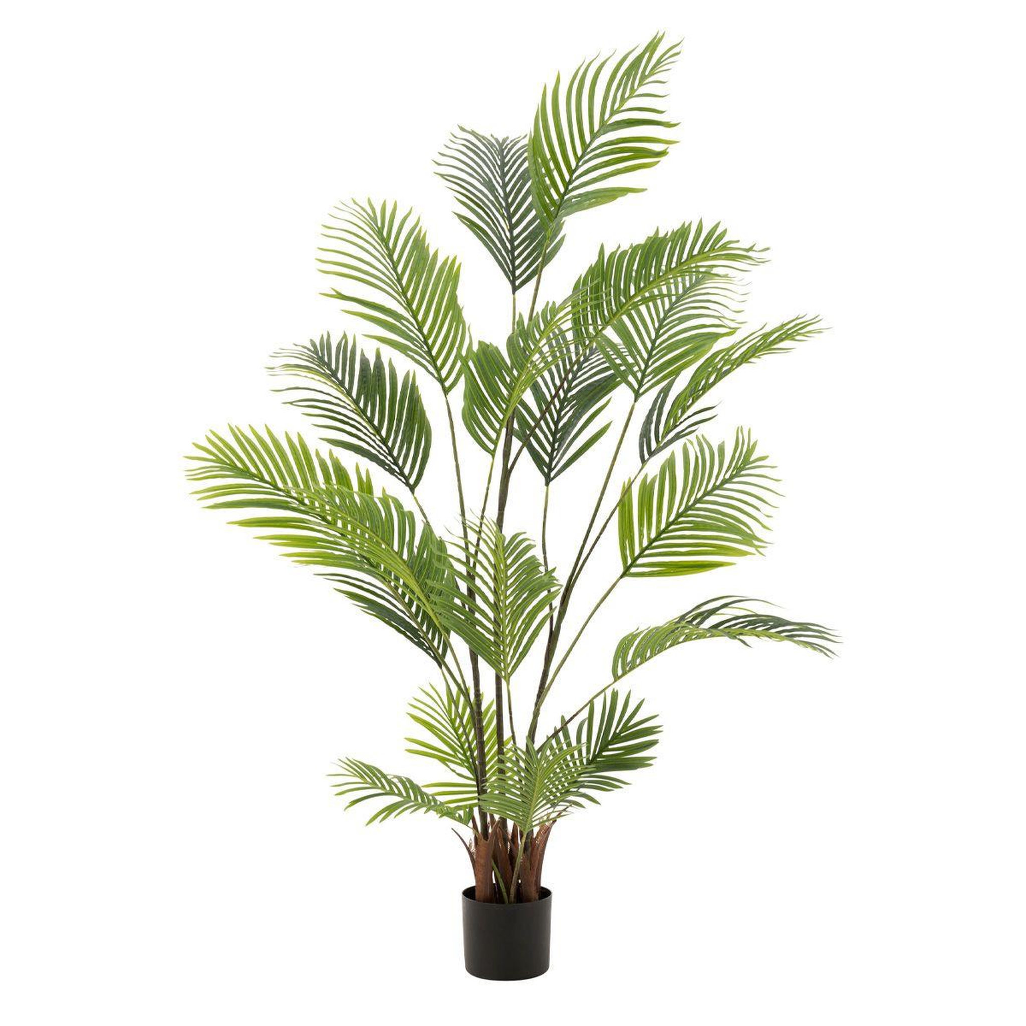 J-LINE Plante artificielle palmier  avocado  180cm vert