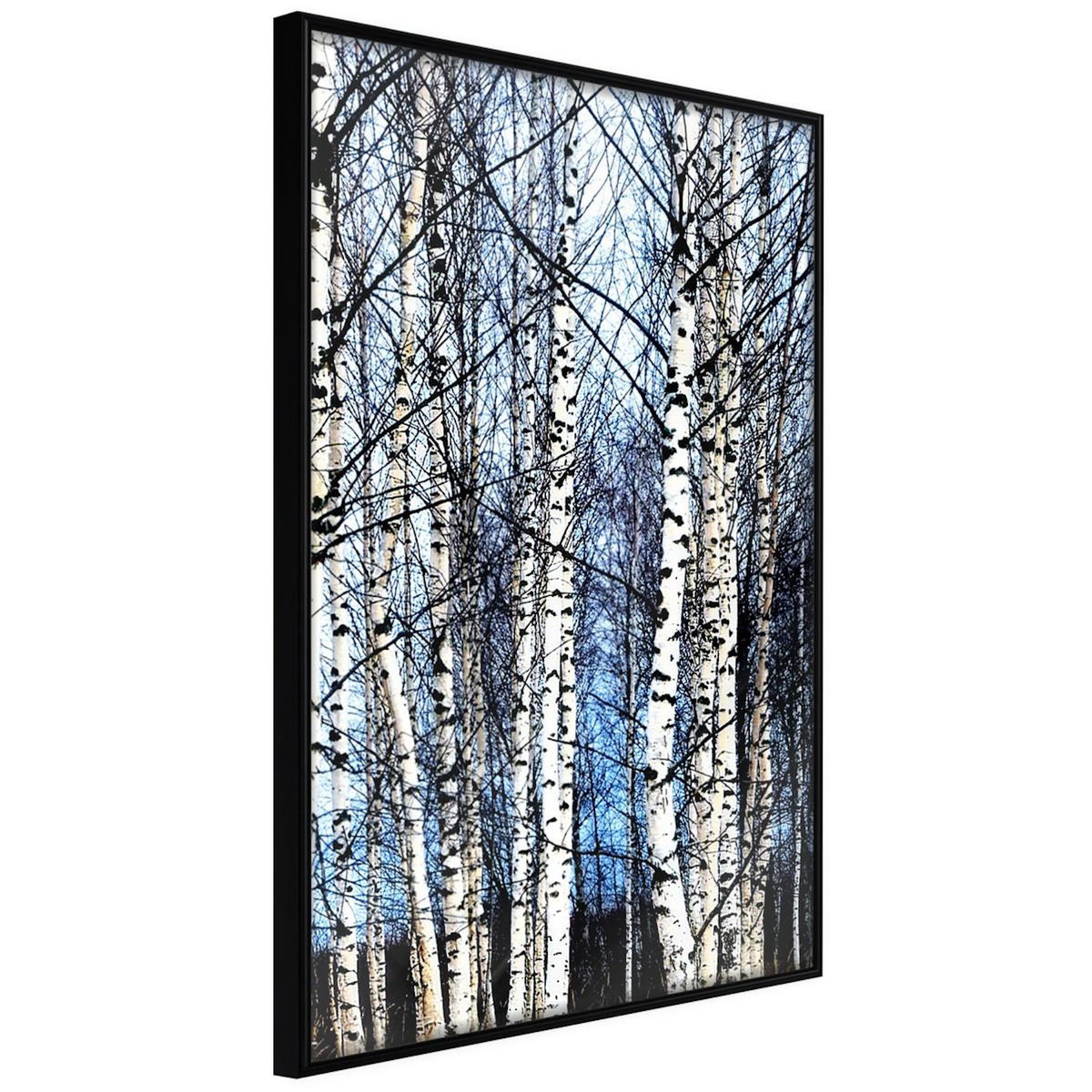 Paris Prix Affiche Murale Encadrée  Winter Birch Trees