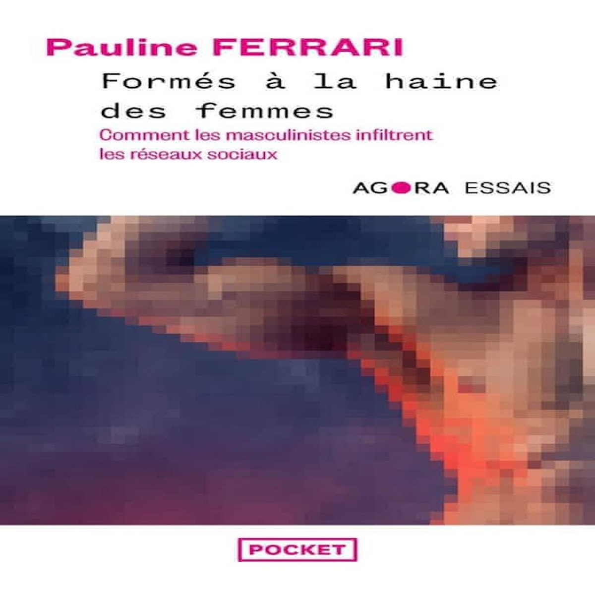 FORMES A LA HAINE DES FEMMES. COMMENT LES MASCULINISTES INFILTRENT LES RESEAUX SOCIAUX, Ferrari Pauline