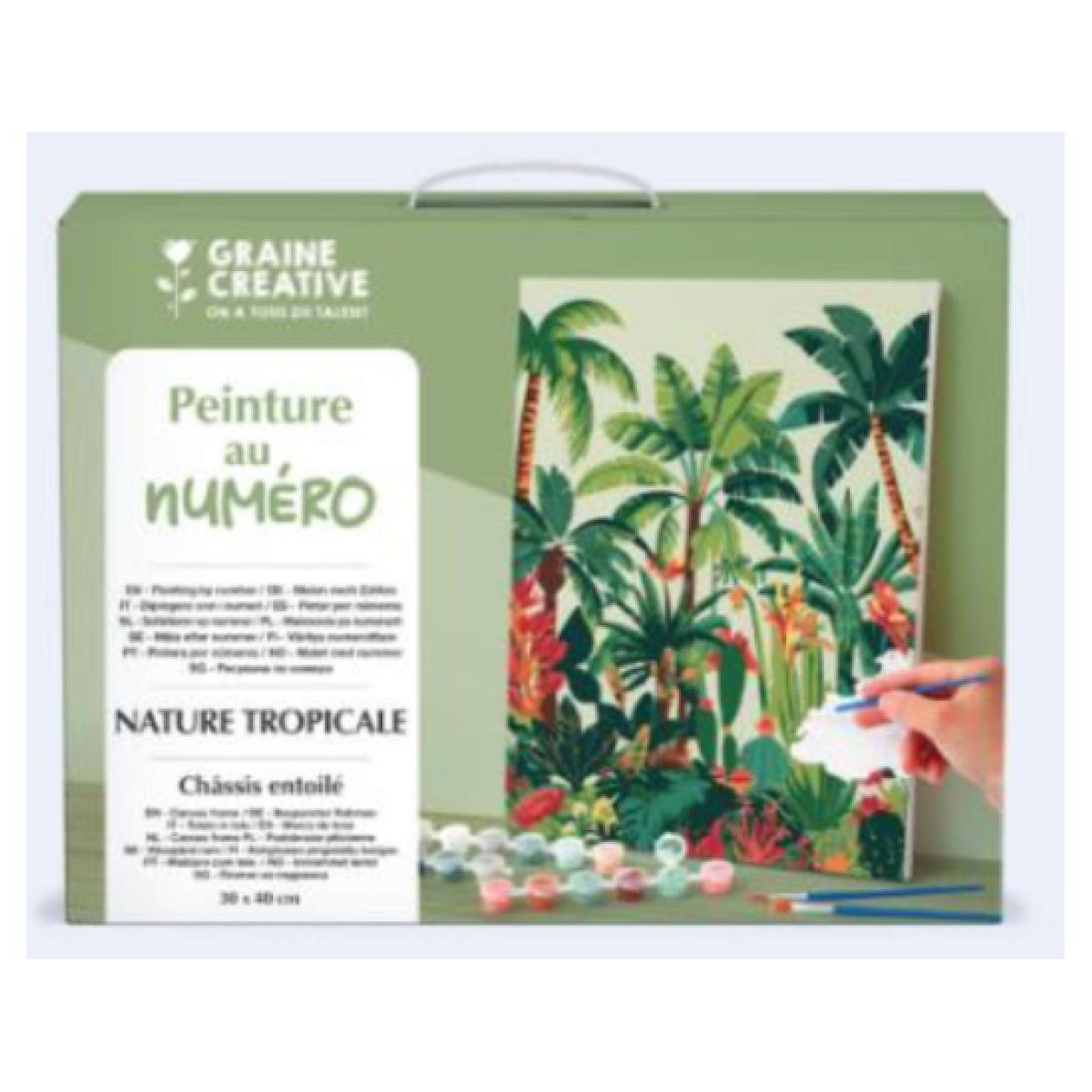 Voir la diapositive 2 : Graine créative Peinture au numero - Nature Tropicale