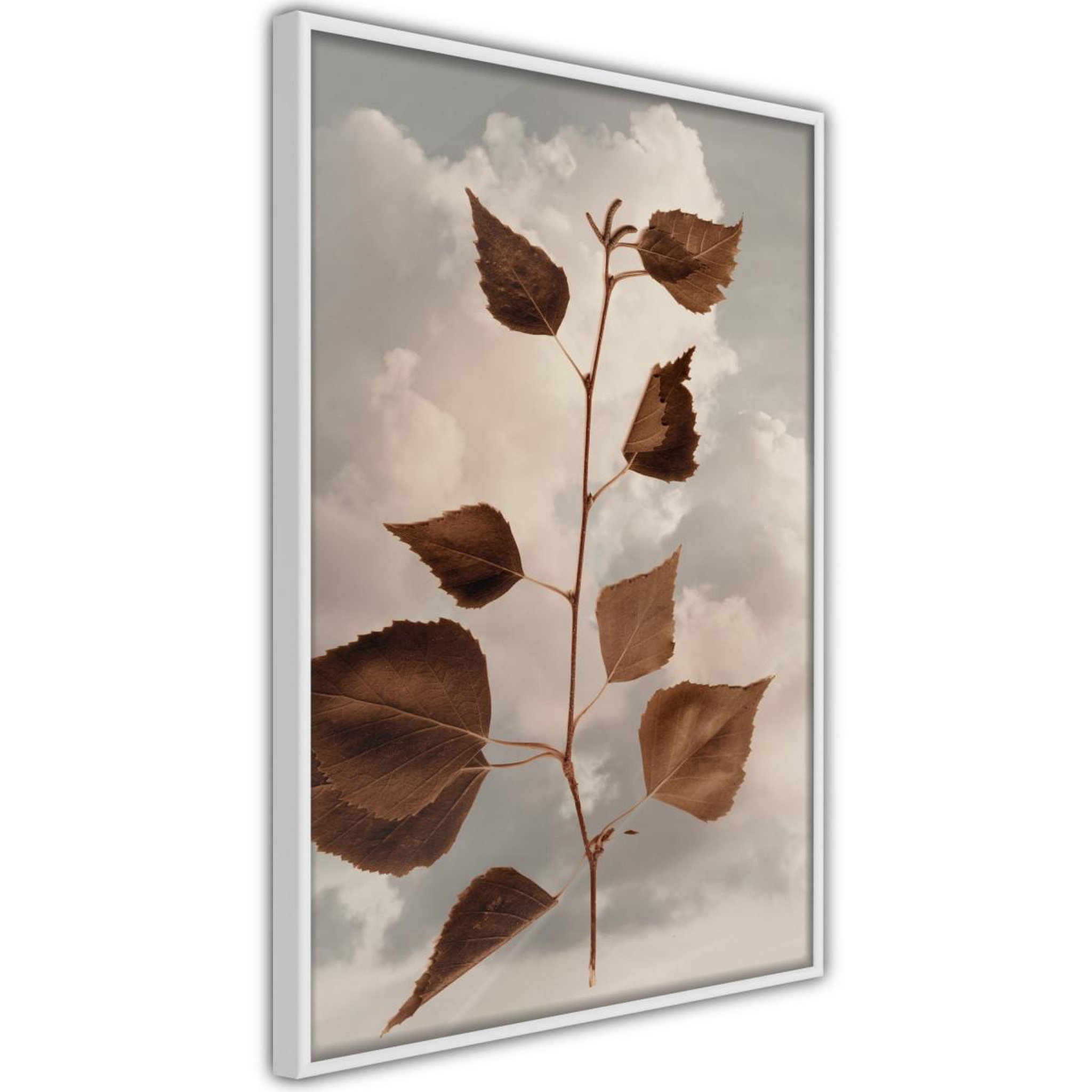 Paris Prix Affiche murale encadrée  leaves in the clouds