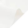 Voir la diapositive 4 : VIDAXL Bache blanc 5x8 m 600 g/m²