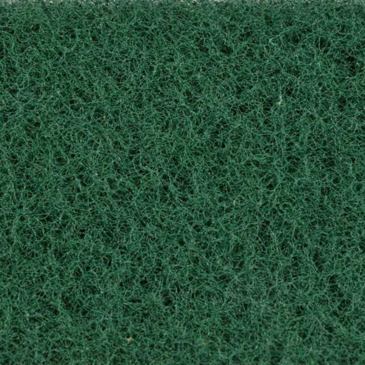 Paris Prix Lot de 2 Éponges Grattantes  Double Action  11cm Vert