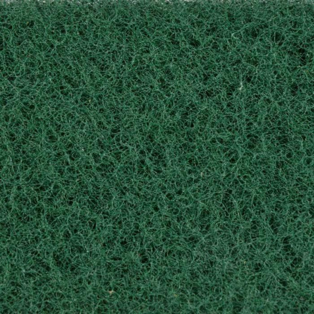 Paris Prix Lot de 2 Éponges Grattantes  Double Action  11cm Vert