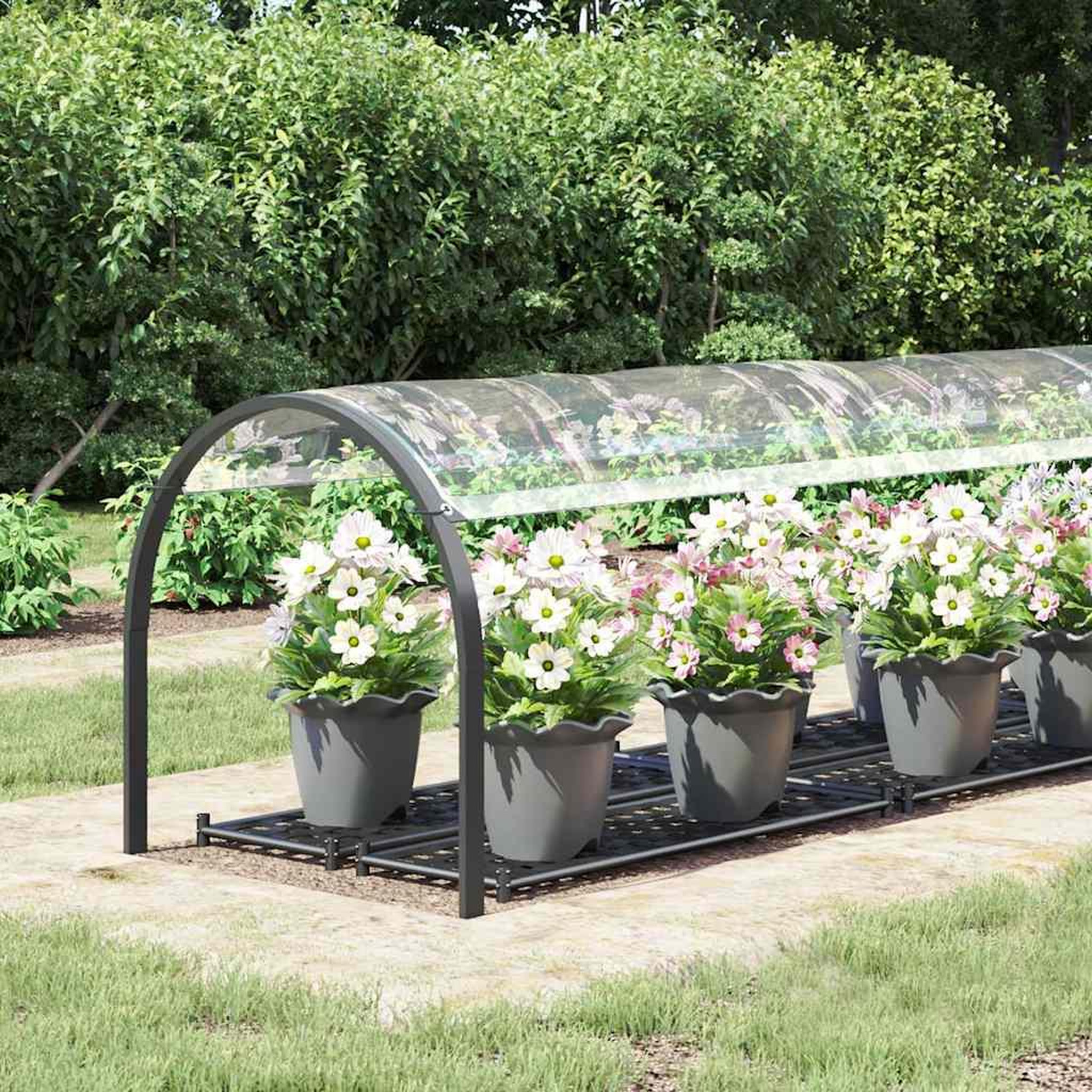 Voir la diapositive 3 : VIDAXL Bache transparente avec œillets 1x5 m PVC