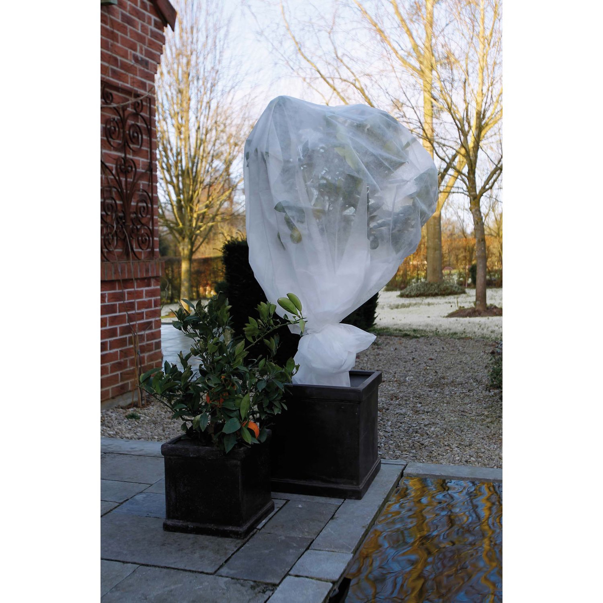 Voir la diapositive 3 : Voile hivernage - Blanc - 1x10m - PP 30G