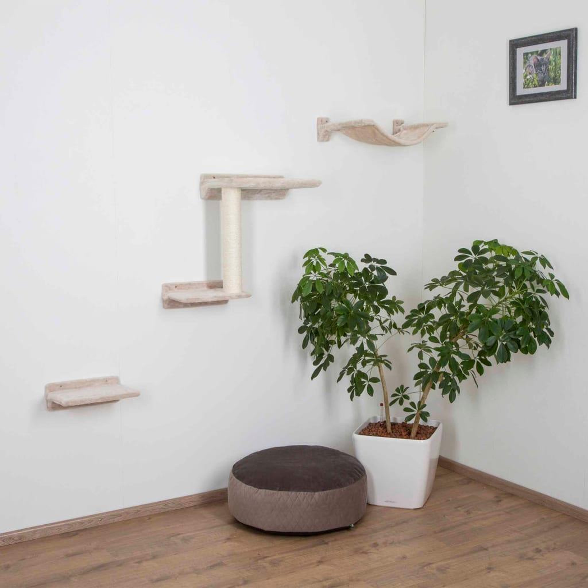 Voir la diapositive 1 : KERBL Kerbl Arbre a chat Zugspitze Bois Beige