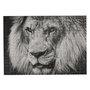 Voir la diapositive 1 : Paris Prix Puzzle Lion  500 Pièces  35x48cm Noir & Blanc