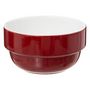 Voir la diapositive 3 : SECRET DE GOURMET Lot 4 Bols avec Rack  Colorama  50cl Multicolore
