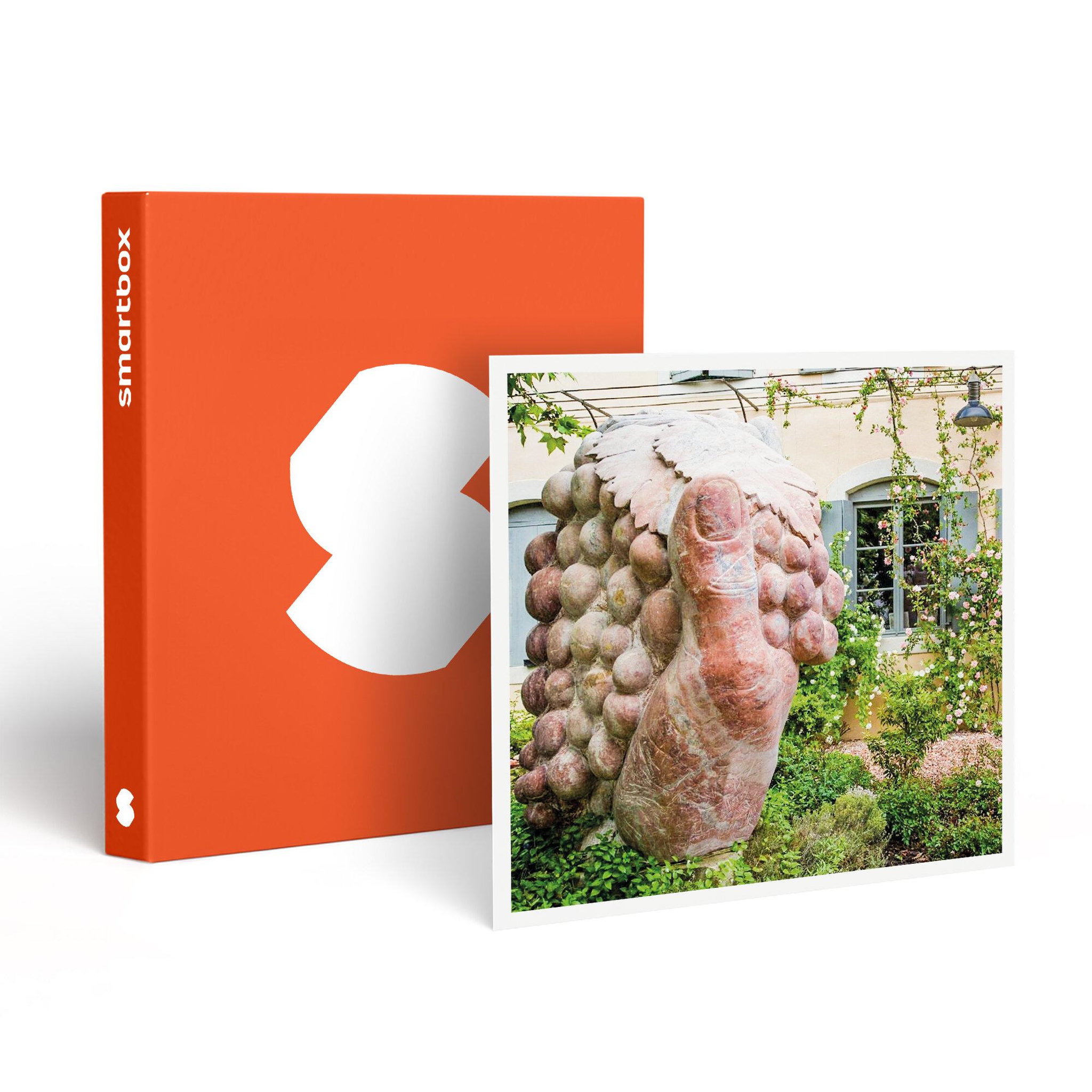 Smartbox Séjour en famille : 3 jours en suite dans un hôtel près de carcassonne - coffret cadeau séjour