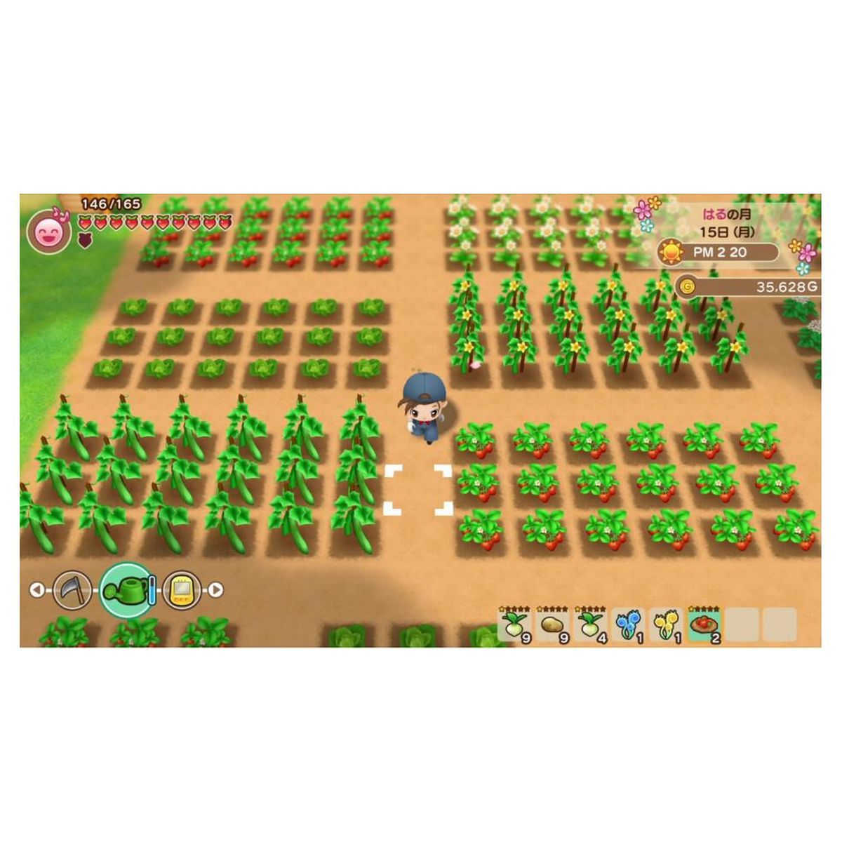 JUST FOR GAMES Story of Seasons Friends of Mineral Town Nintendo Switch