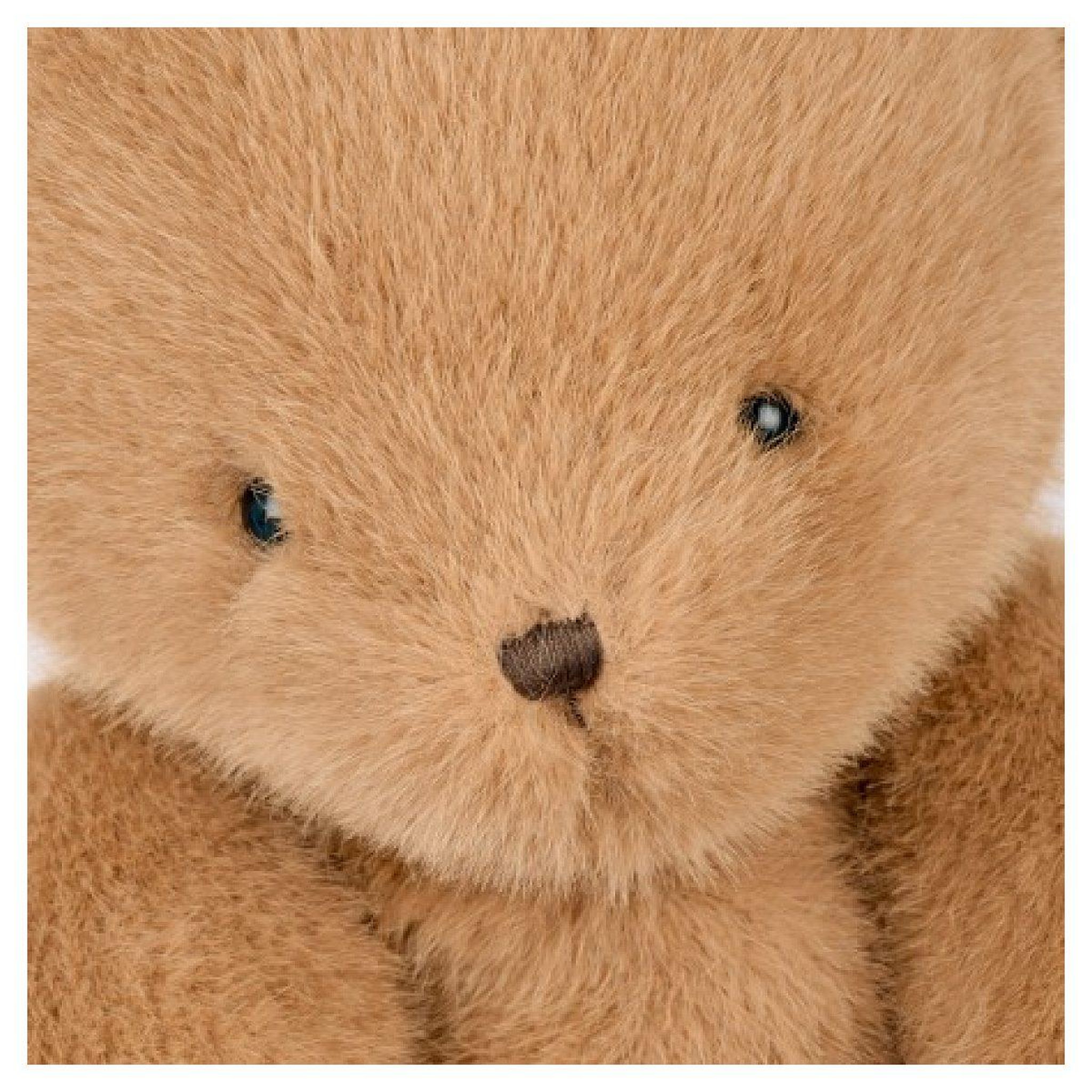 Voir la diapositive 4 : Histoire D'Ours Ours en peluche clémentin marron miel - 60 cm