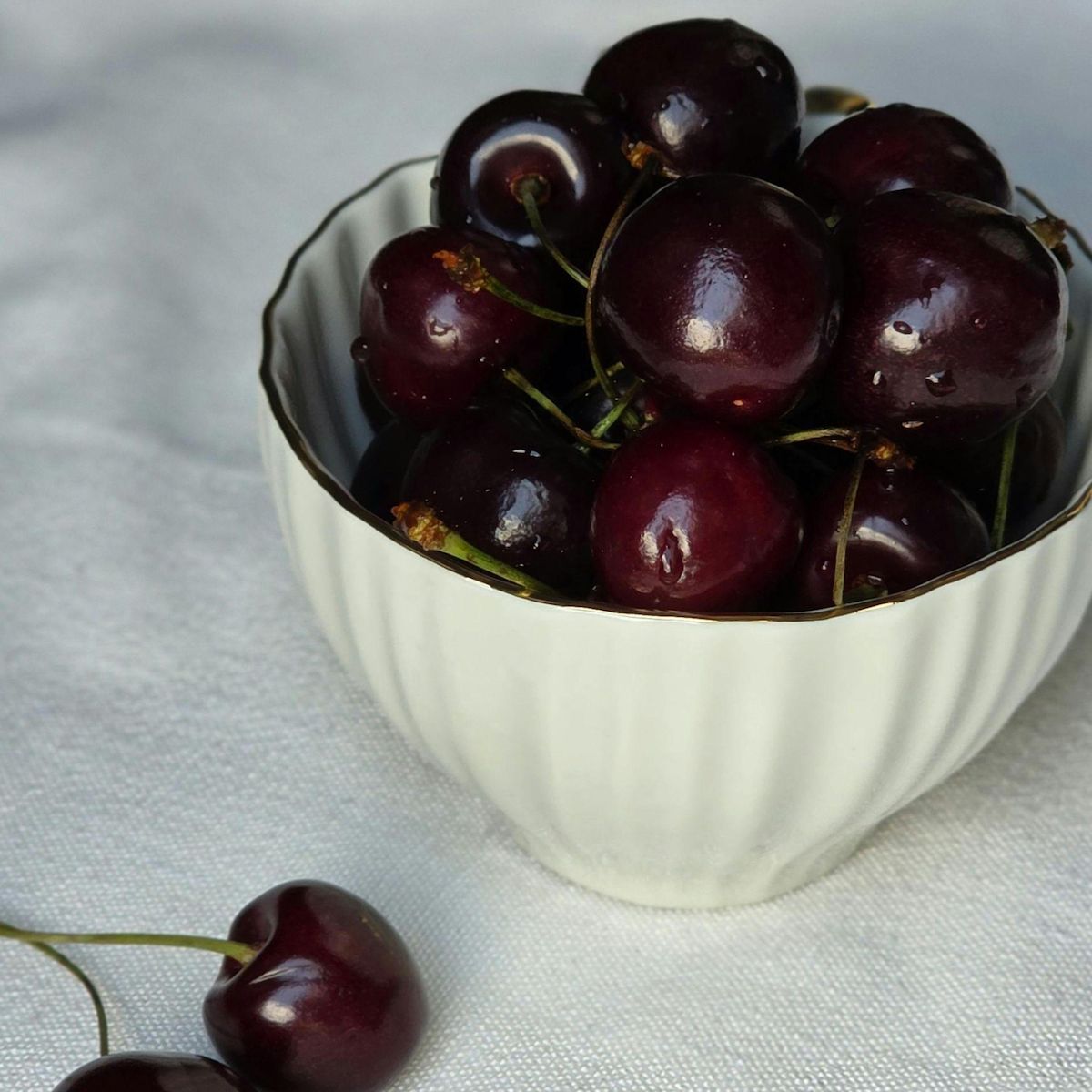 PLANT IN A BOX Cerisier - Prunus avium - Cerise douce - Hauteur 90-110cm - ⌀23cm