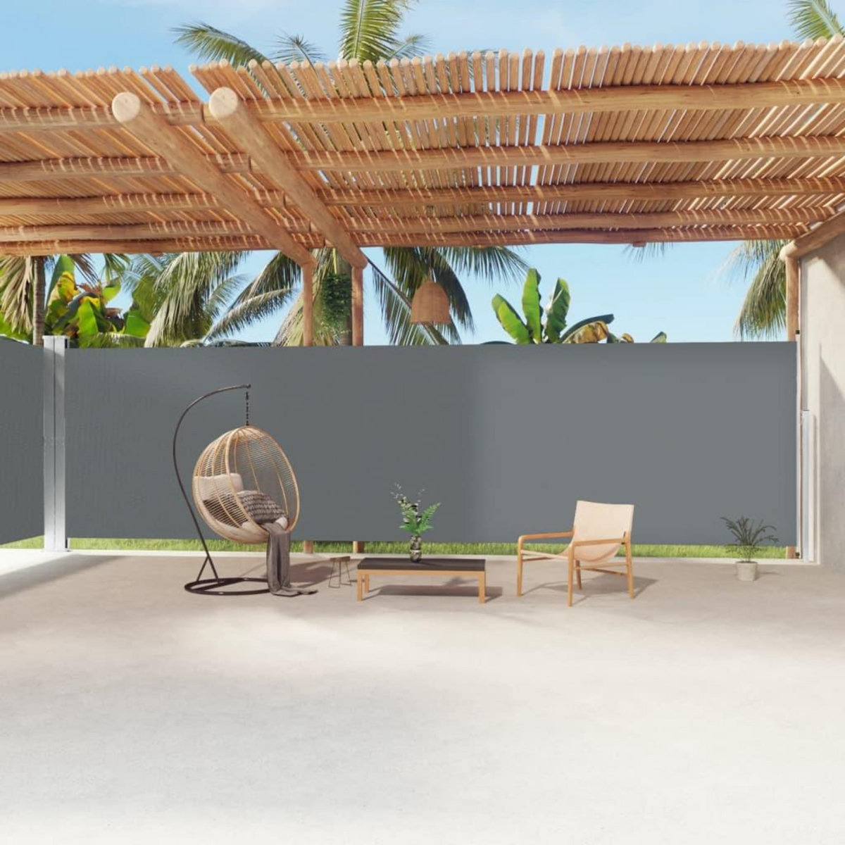 VIDAXL Auvent lateral retractable Anthracite 220x1200 cm