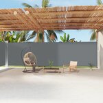 VIDAXL Auvent lateral retractable Anthracite 220x1200 cm