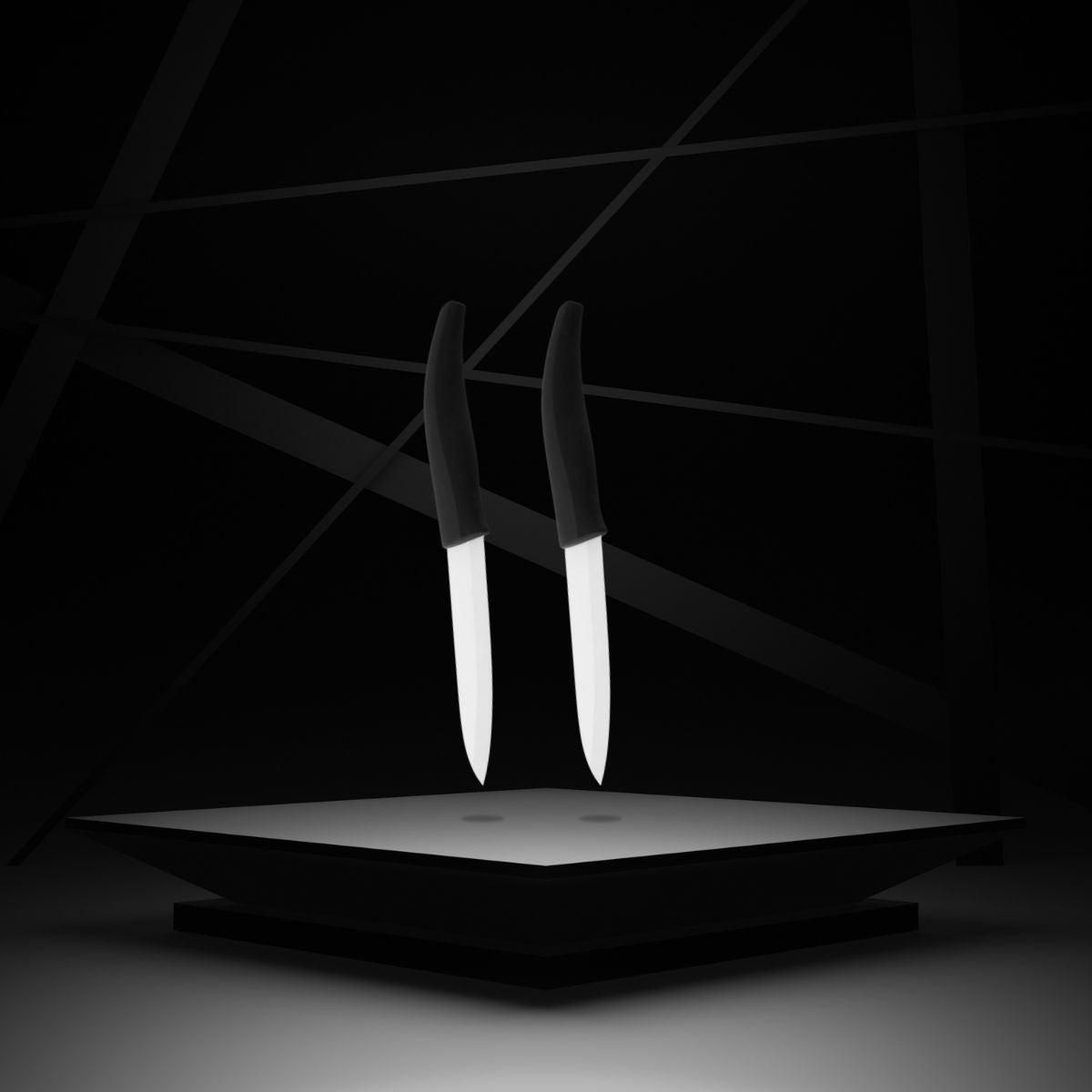 NIROSTA Lot de 2 couteaux d'office avec lame en céramique de 12,5 cm de long Nirosta Céramique