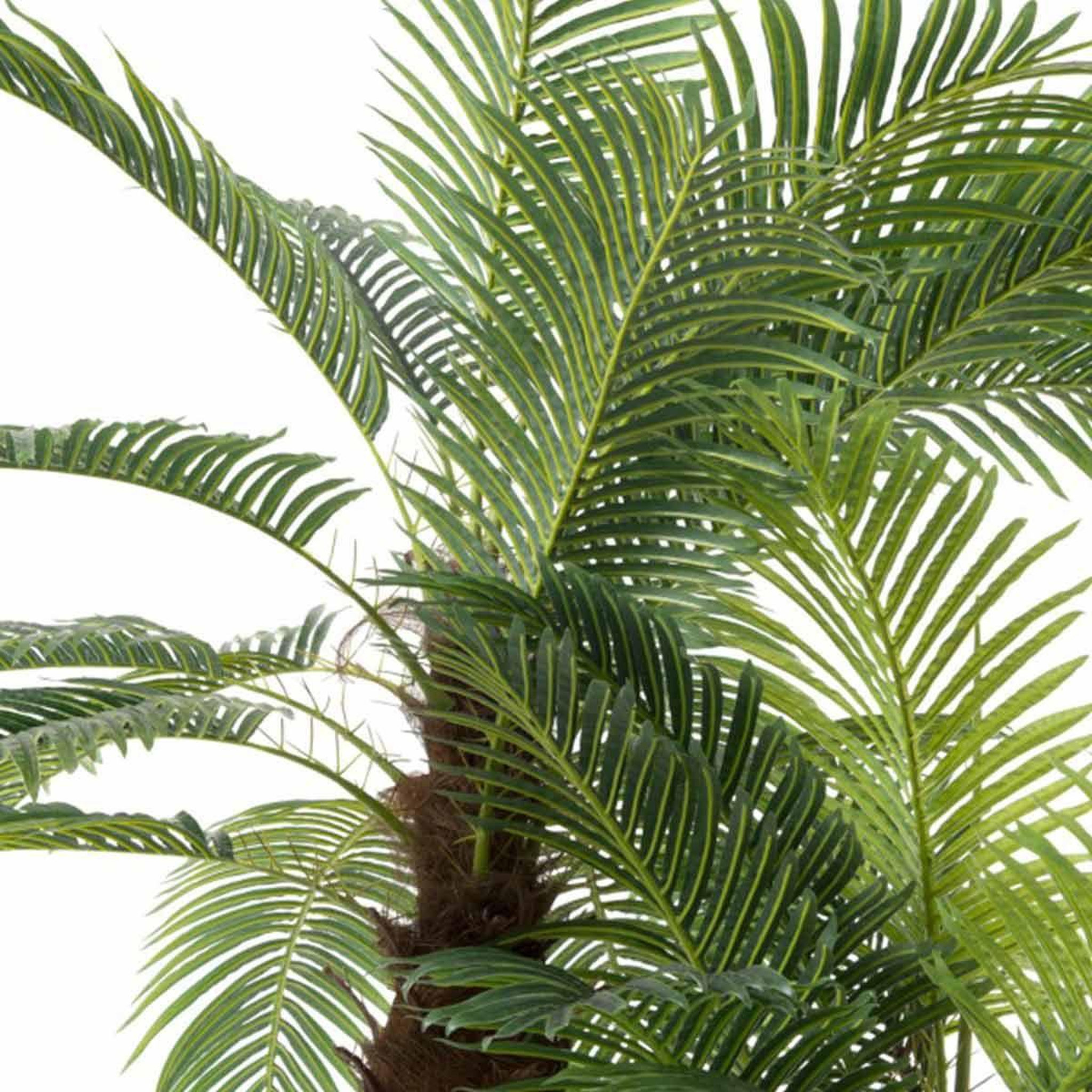 Voir la diapositive 4 : J-LINE Plante artificielle en pot  3 palmiers  300cm vert