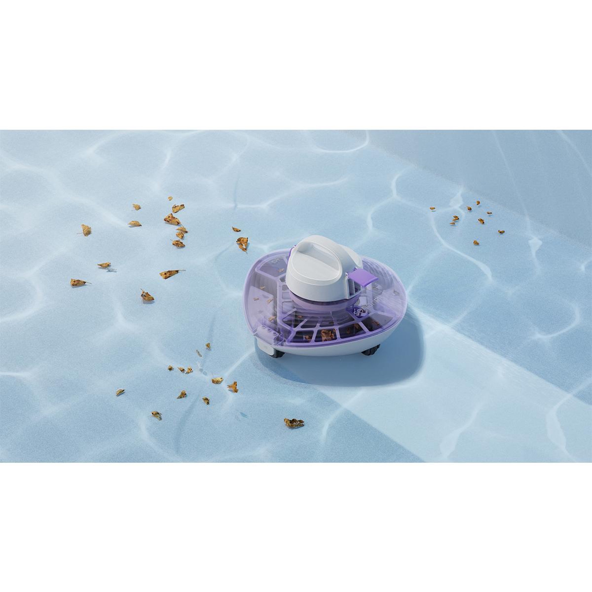 Voir la diapositive 3 : MAYTRONICS Robot aspirateur de piscine sans fil hors sol, piscines jusqu'à 6 mètres, léger, durée de cycle jusqu'à 1h, nettoyage fond uniquement - sonar f1