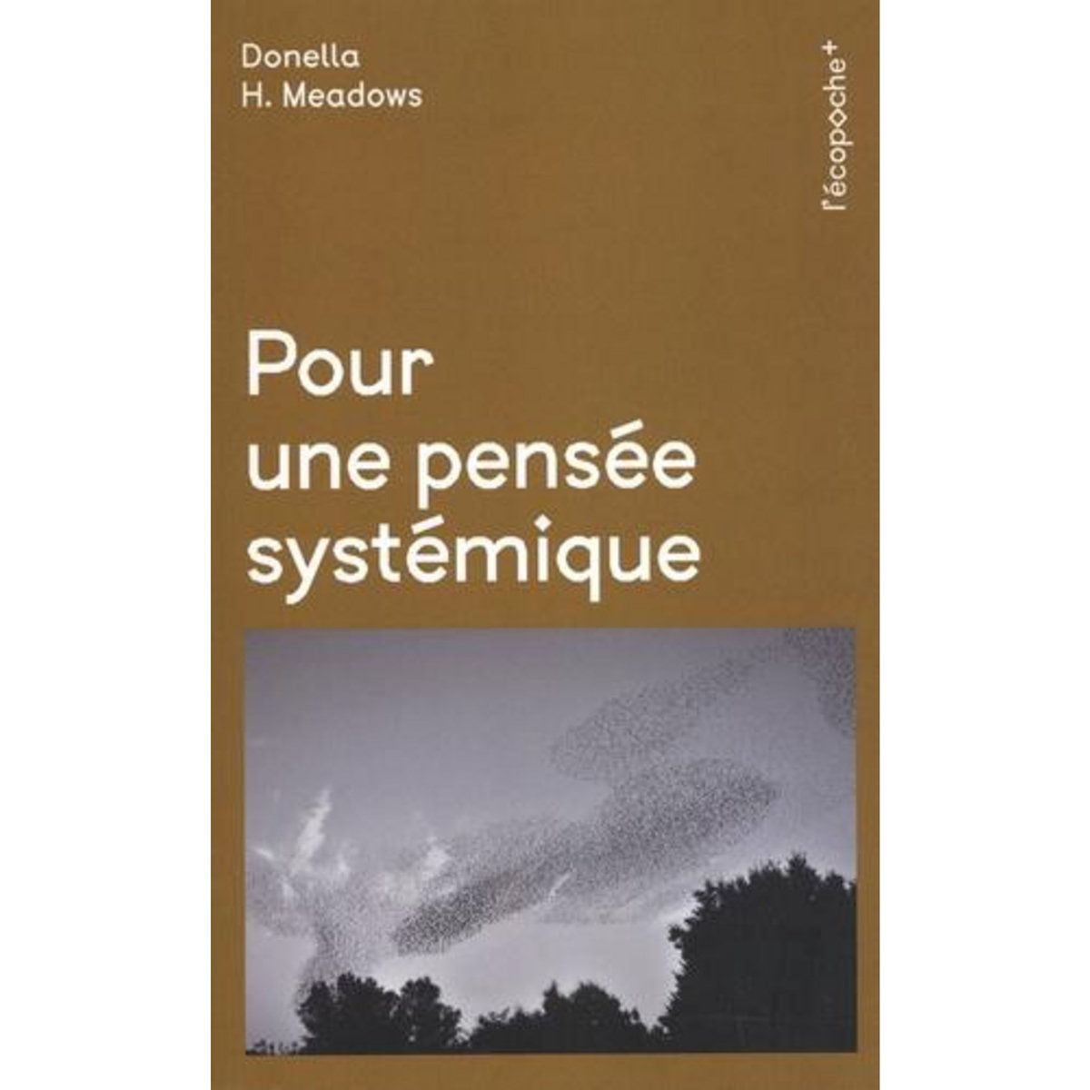 POUR UNE PENSEE SYSTEMIQUE, Meadows Donella