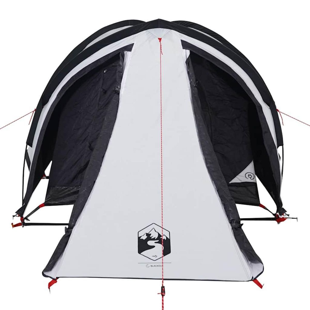 VIDAXL Tente de camping a dome 2 personnes tissu occultant impermeable