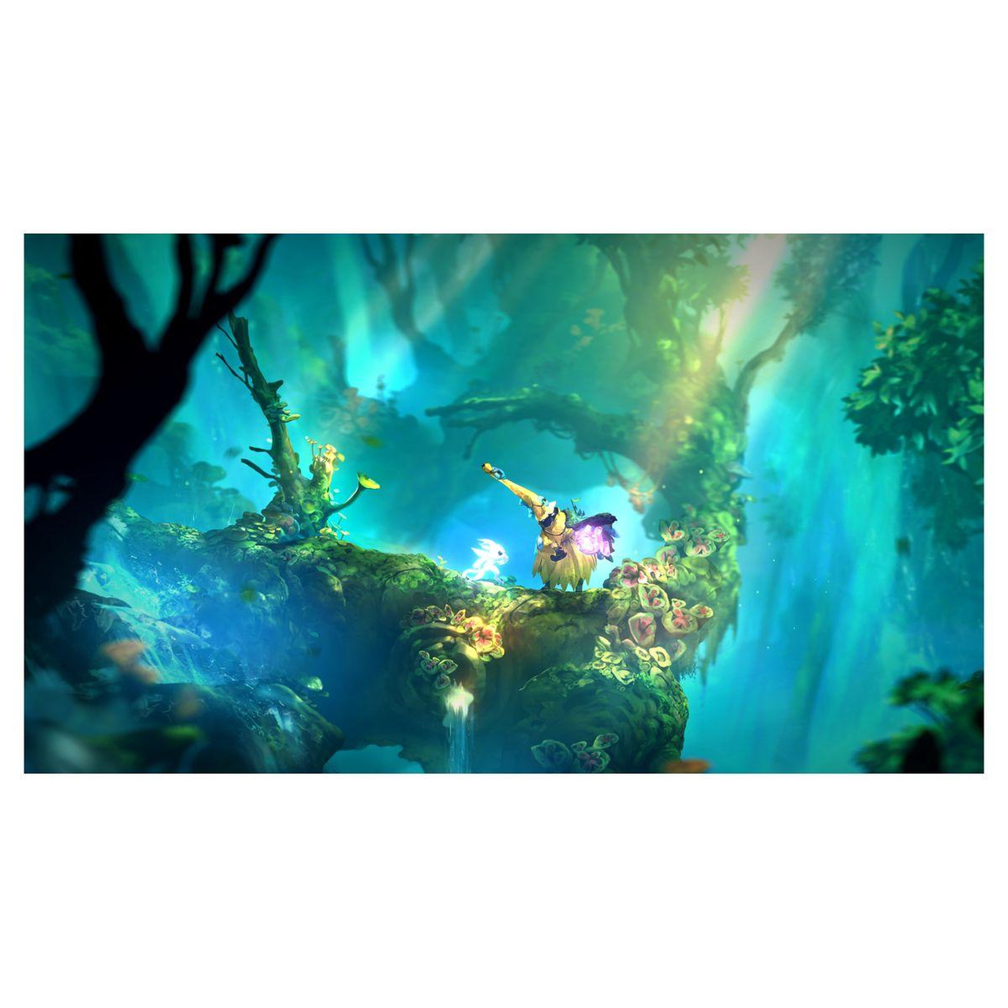 Voir la diapositive 3 : JUST FOR GAMES Ori and The Will of The Wisps Nintendo Switch