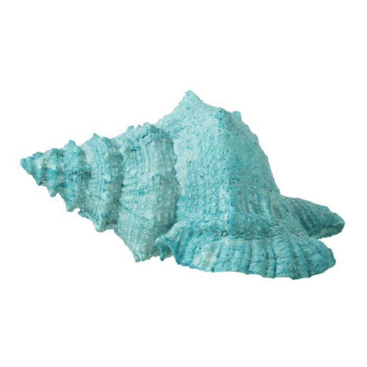 Paris Prix Coquillage Déco  Evasion  25cm Bleu Azur