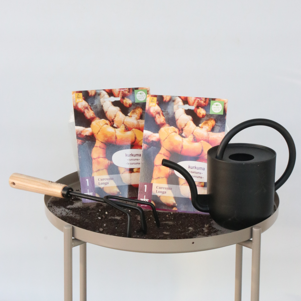 PLANT IN A BOX Curcuma - Set de 2 - Curcuma Longa - Rhizomes - Orange