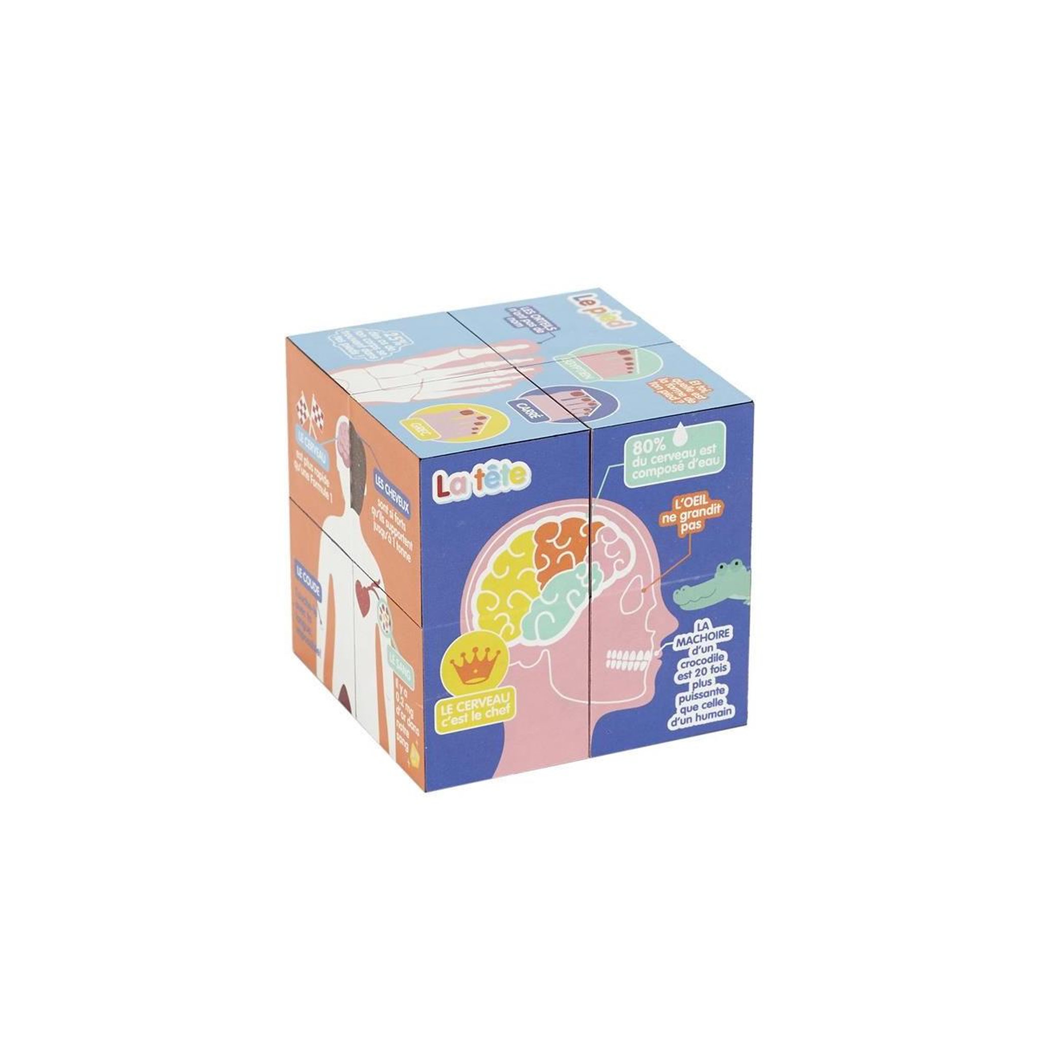 Jeux 2 momes Cube educatif  corps humain  7cm multicolore