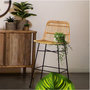 Voir la diapositive 5 : ATMOSPHERA Chaises de bar en rotin LIAM