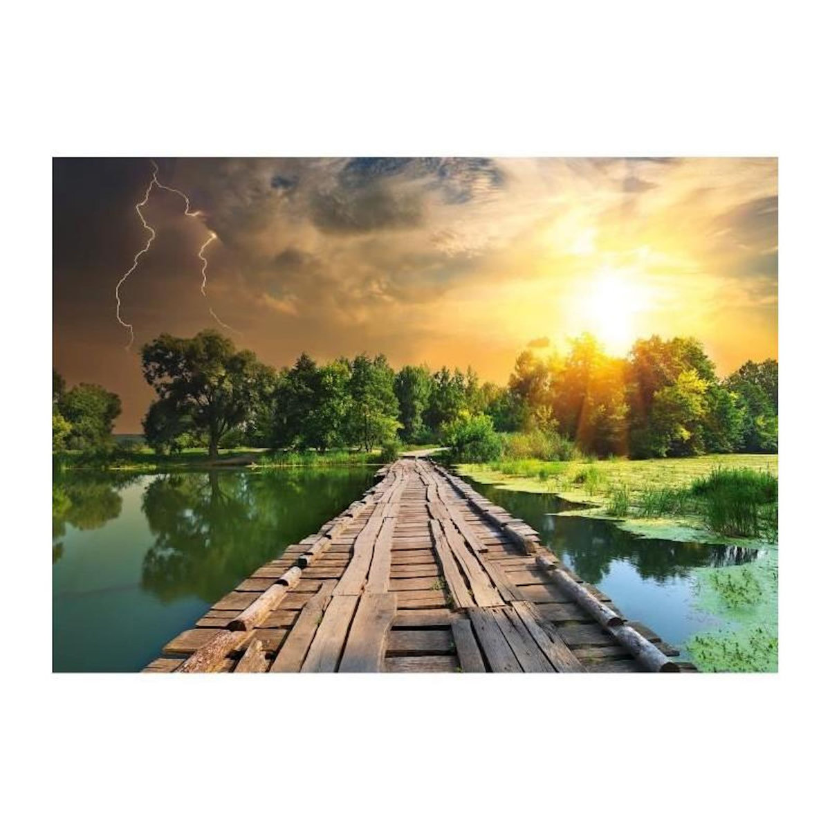 RAVENSBURGER Ravensburger-Puzzle 1000 pieces-Lumiere mystique-Adultes et enfants-Des 14 ans-Puzzle de qualité supérieure