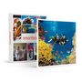 Voir la diapositive 1 : Smartbox Exploration plongée - Coffret Cadeau Sport & Aventure