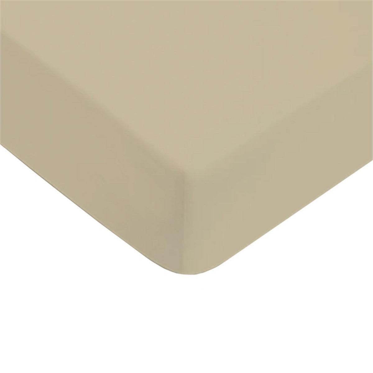FUTURE HOME Drap housse uni en coton 57 fils