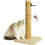 Zolux Poteau griffoir chat - ZOLUX - Sisal - Avec jouet suspendu - 60 cm - Boréal - Beige