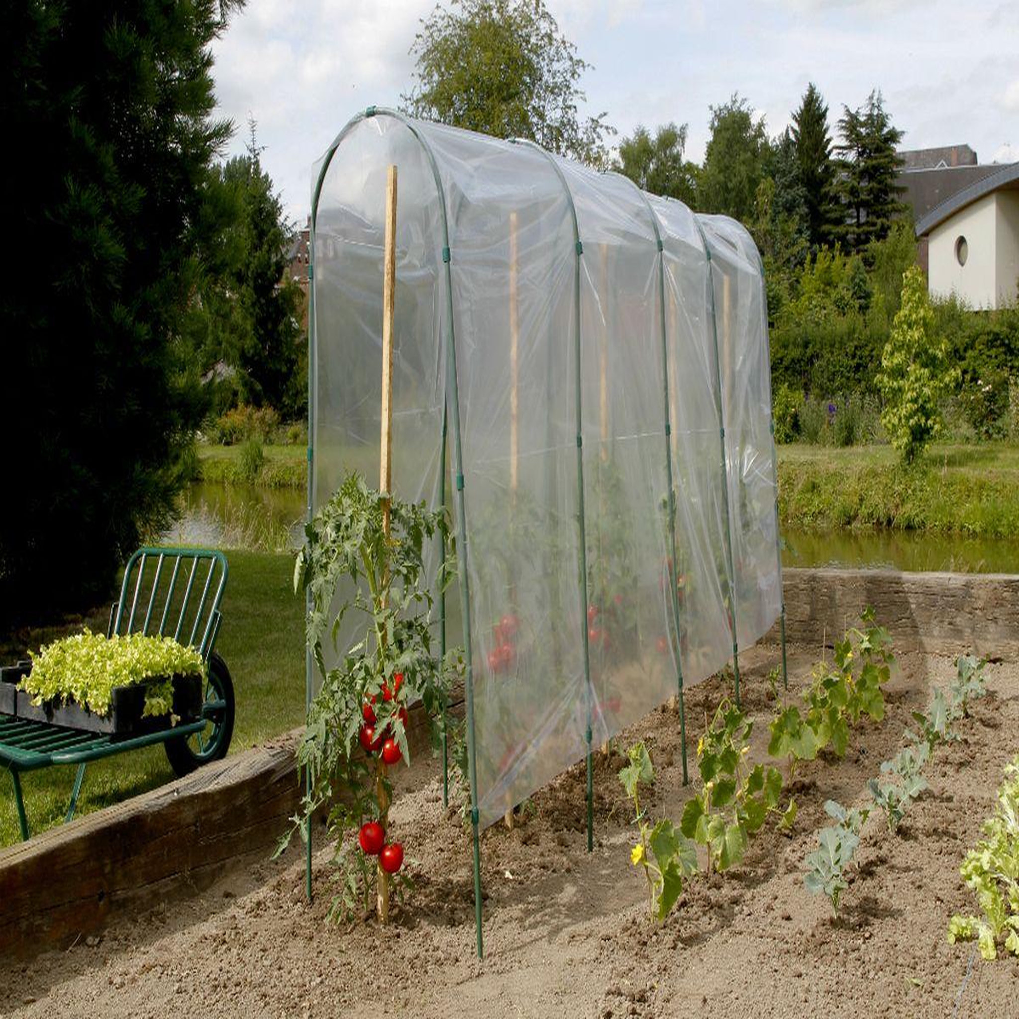 Nortene Film de forçage tunnel tomates   Tomato Film  - 5 x 3,50 m
