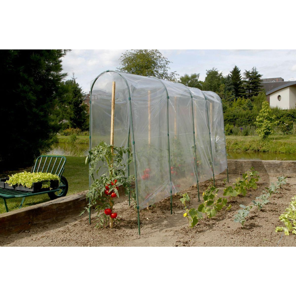 Nortene Film de forçage tunnel tomates   Tomato Film  - 5 x 3,50 m