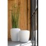 Voir la diapositive 2 : Paris Prix Plante Artificielle  Cyperus Alternifolius 11 Têtes  140cm Vert