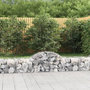 Voir la diapositive 1 : VIDAXL Paniers a gabions arques 12 pcs 200x50x40/60 cm fer galvanise
