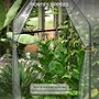 Voir la diapositive 6 : OUTSUNNY Serre de jardin balcon terrasse serre pour tomates 0,9L x 0,9l x 1,45H m double porte acier PVC transparent vert