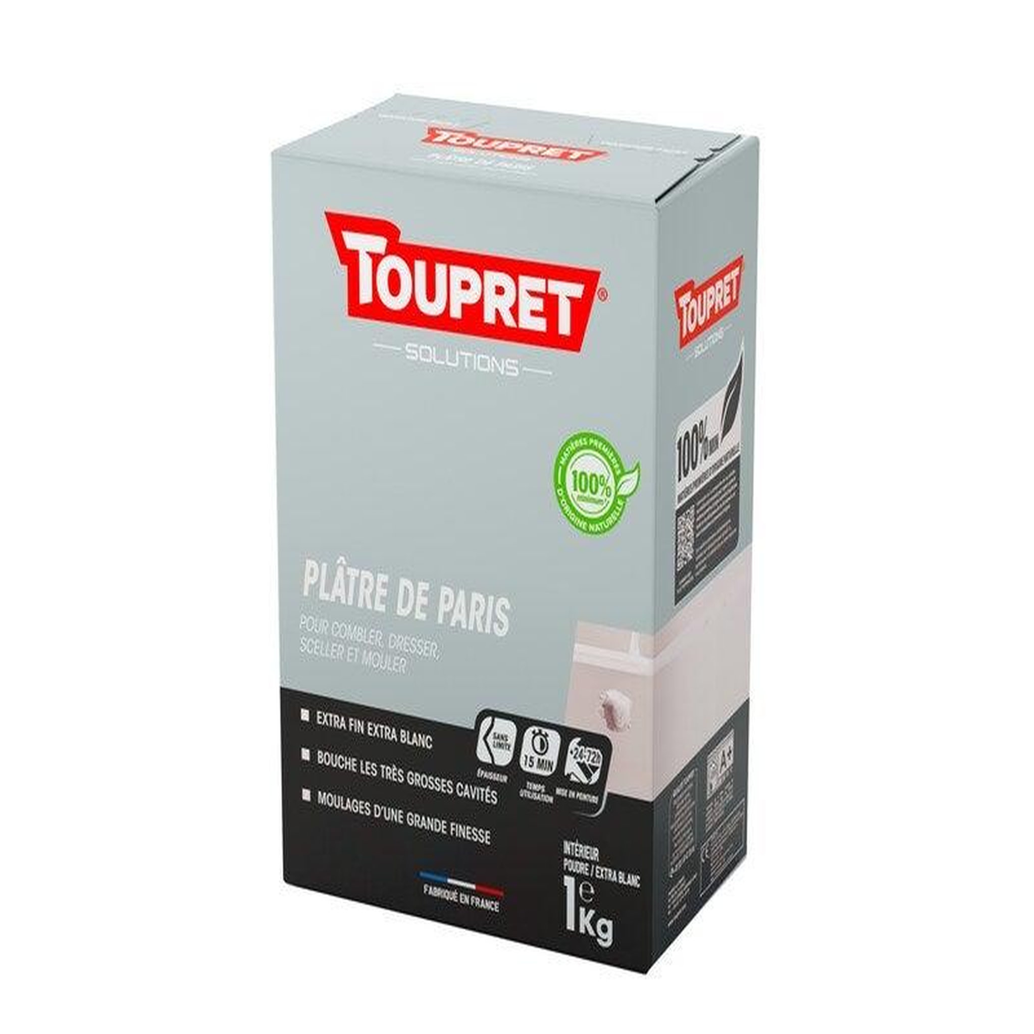 TOUPRET Plâtre de Paris en poudre pour mur / plafond intérieur, TOUPRET, 1 kg