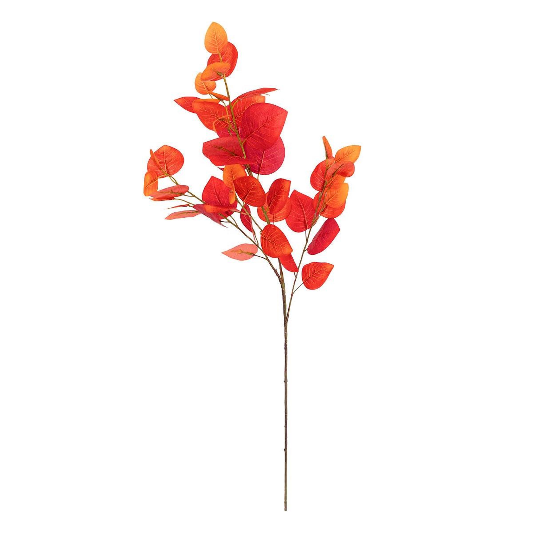 ATMOSPHERA Tige artificielle  eucalyptus  92cm rouge
