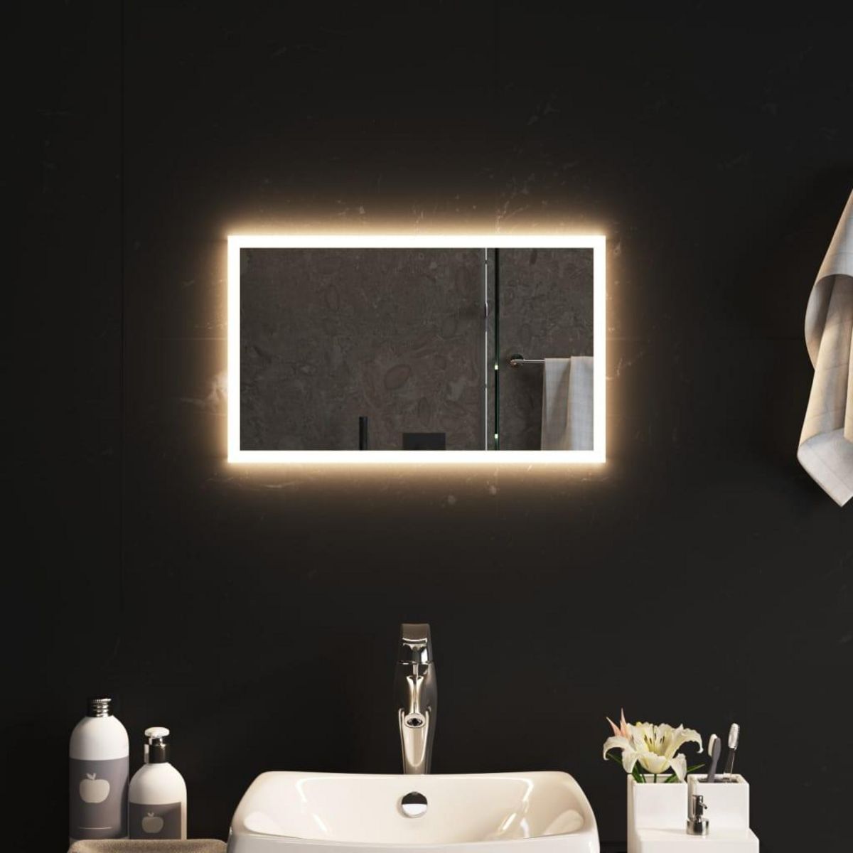 VIDAXL Miroir de salle de bain a LED 30x50 cm