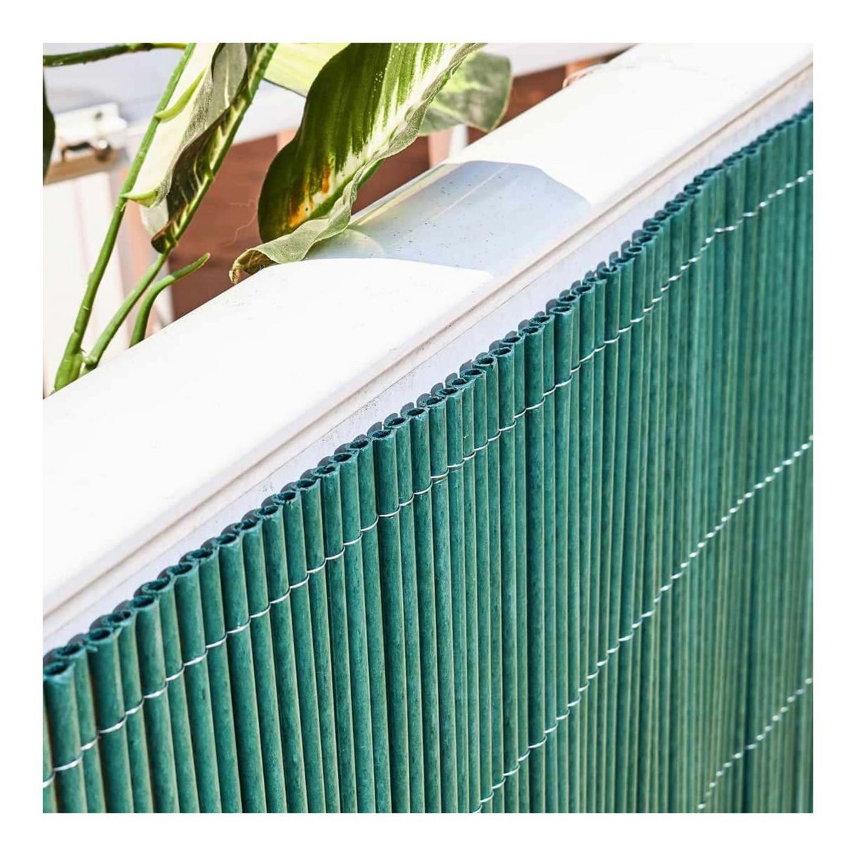 Catral Canisse LOP 1,5x3m aspect naturel