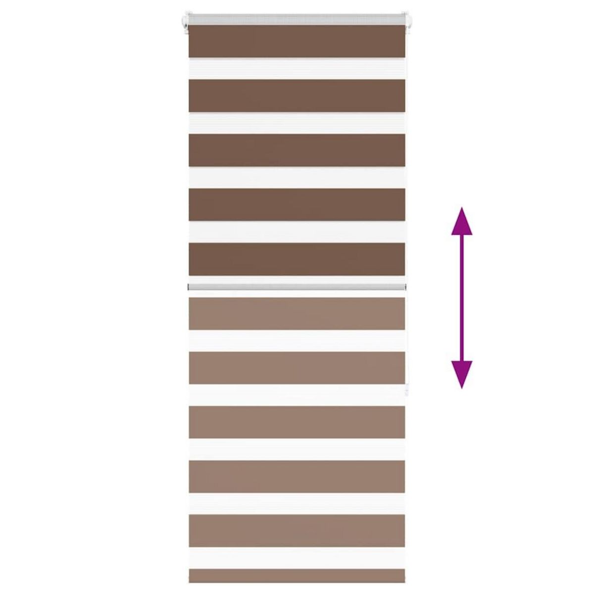 VIDAXL Store zebre marron 55x150 cm largeur du tissu 50,9 cm polyester