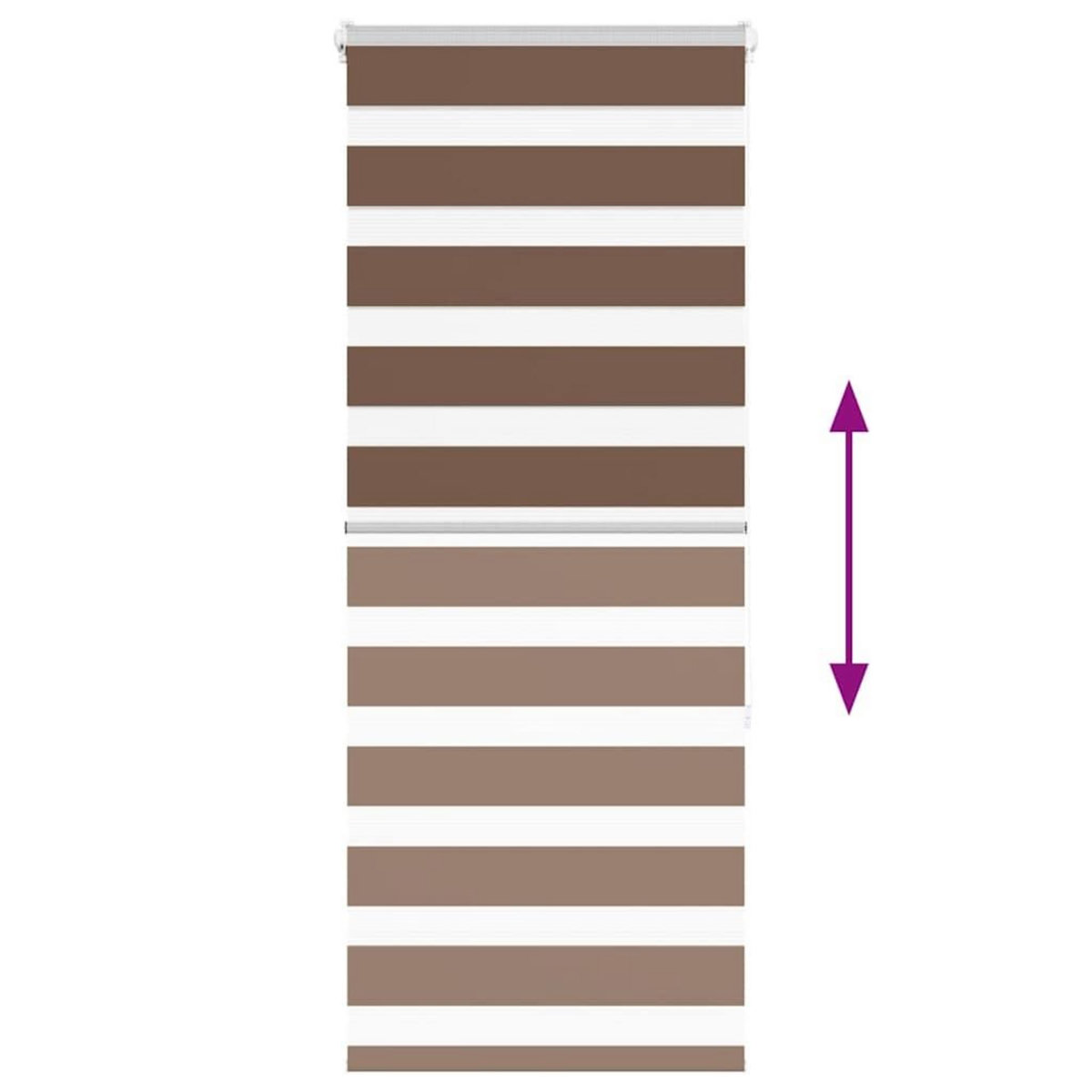 VIDAXL Store zebre marron 55x150 cm largeur du tissu 50,9 cm polyester